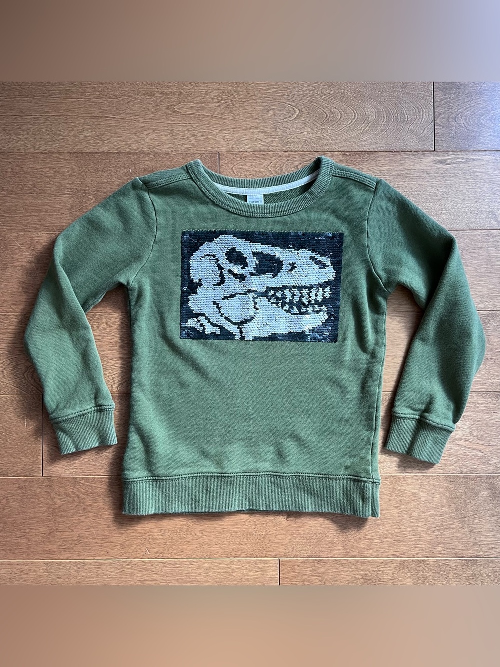 2/$10 CARTERS Boys sweatshirt dinosaur 7y